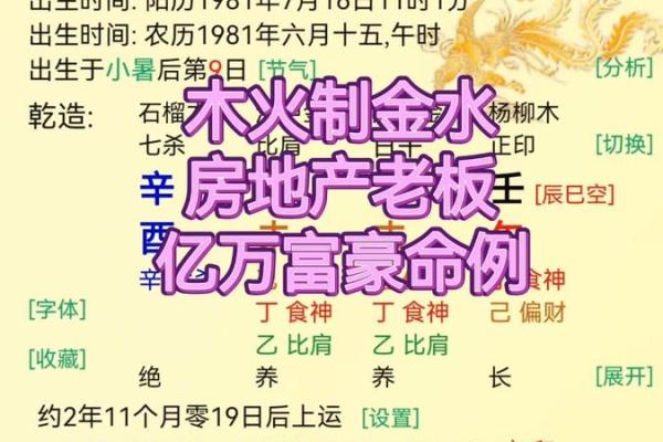 阴命阳命的命理学解读与实际应用