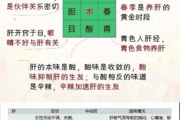 了解五脏与五行的深层次联系,开启你的养生之道 了解五脏与五行的深层次联系,开启你的养生之道