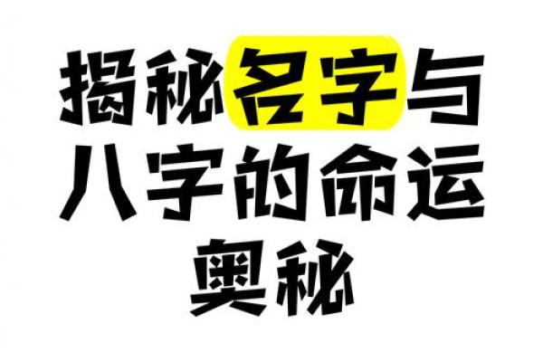 八字论命：破解命运的奥秘，揭示你的未来走向