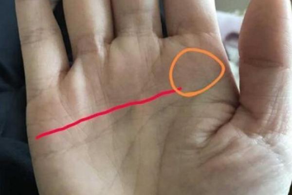 手相揭秘：财运亨通，揭秘偏财运爆表的神奇手相特征