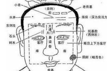 揭秘流年面相秘籍：洞察运势，预见未来