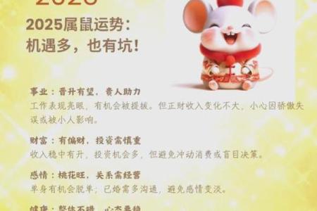 属鼠天干如何影响你的事业与爱情