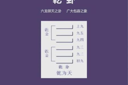 乾造八字揭秘：如何通过八字预测人生运势