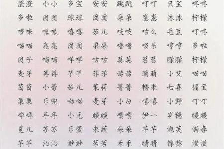 熹起名，开启宝宝人生的美好篇章