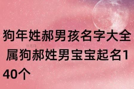 郝氏起名秘笈：如何为宝宝取个有意义的名字