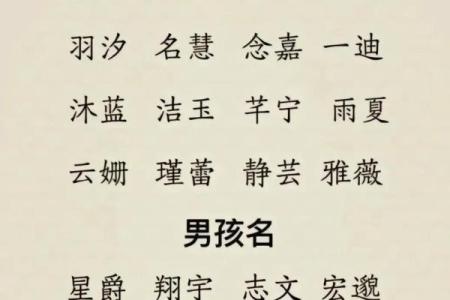 起名字从未如此简单！教你如何快速选好名