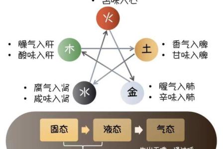 了解五脏与五行的深层次联系，开启你的养生之道