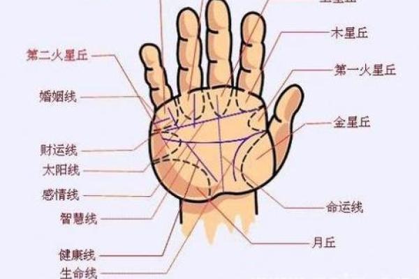 一招解锁命运之门，手相解析大揭秘