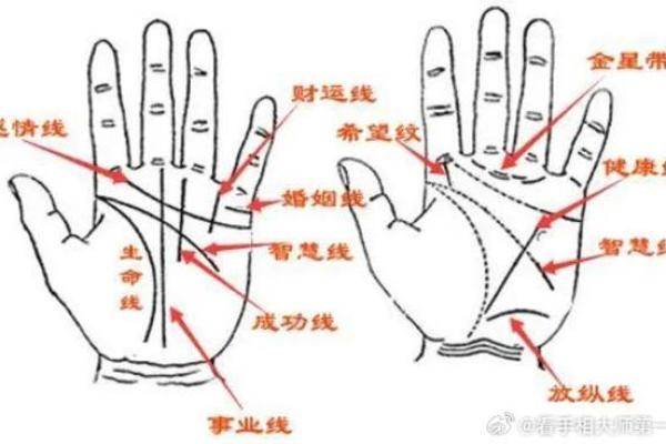 手相婚姻线：揭秘手相中的神秘婚姻密码