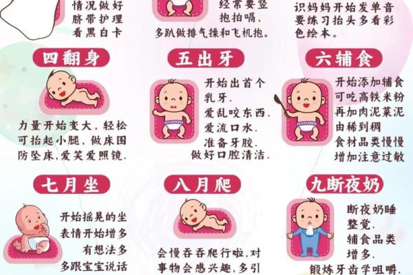 宝宝命理揭秘