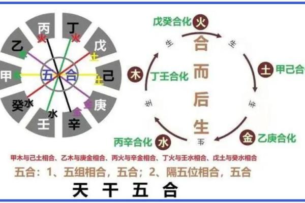 揭秘天干与五脏六腑的深刻关系