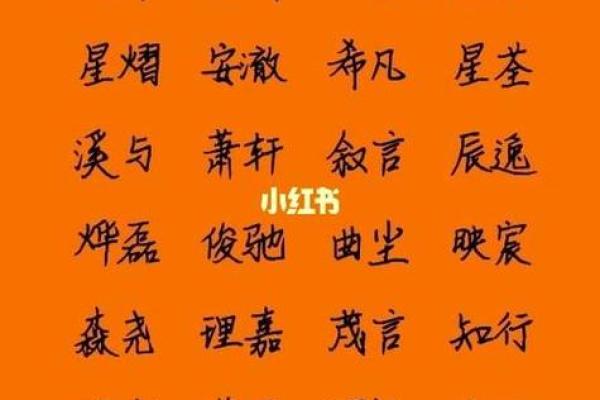 宝起名趋势，时尚又有意义！