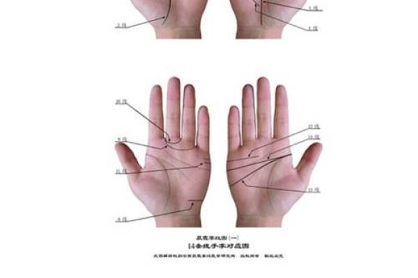 一掌在手，健康无忧：揭秘手相诊病法的神奇魅力