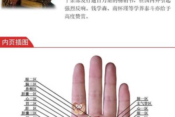 一掌在手，健康无忧：揭秘手相诊病法的神奇魅力