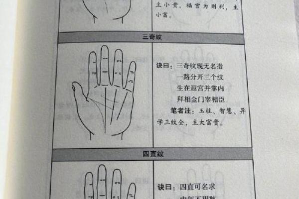 手相揭秘：揭秘手相中的过去秘密，看手相只能看过去