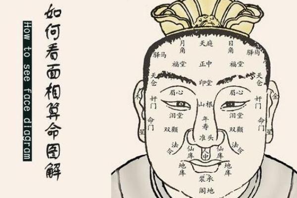 面相揭秘：左右五官透露的惊人运势秘密