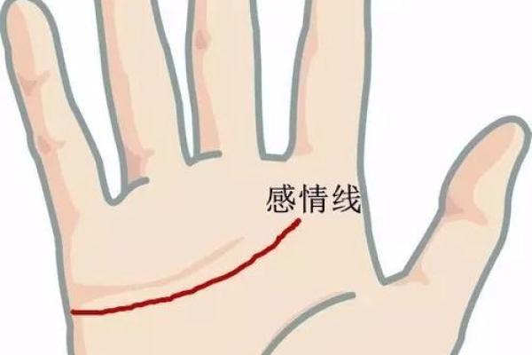 揭秘手相中隐藏的近期桃花运势，让你轻松抓住爱情机遇