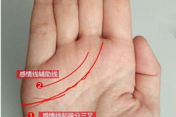 揭秘右手手相：最精准的运势与命运解析，一招看透你的未来