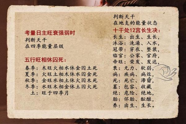 十天干代表的五行，如何影响你的命运与事业