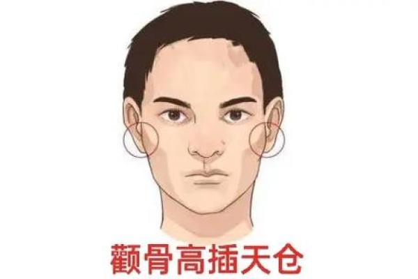 颧骨平平，运势如何？揭秘面相中的财富密码