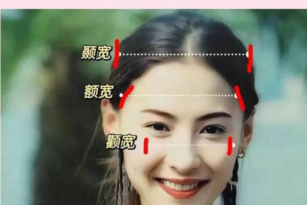 颧骨平平，运势如何？揭秘面相中的财富密码