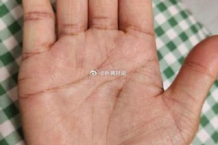 手相奥秘大揭秘：一秒读懂命运密码