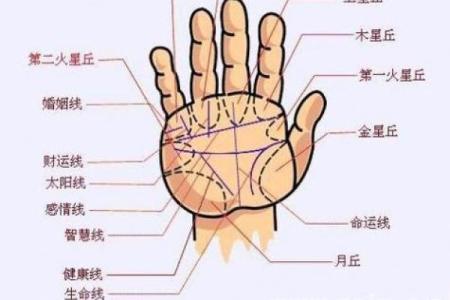 一招解锁命运之门，手相解析大揭秘