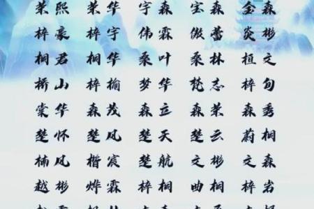 木字名字大揭秘：让孩子名字更有力量