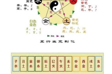 揭秘天干与五脏六腑的深刻关系