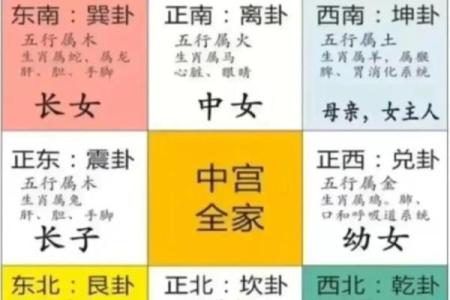 五行属什么？命理解读揭秘