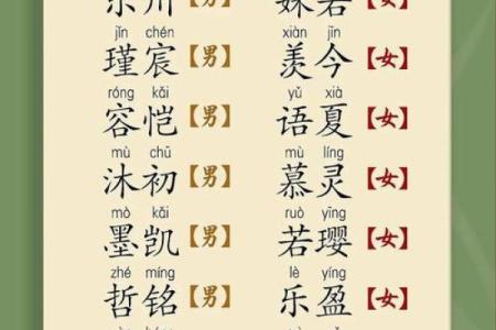 宝起名趋势，时尚又有意义！
