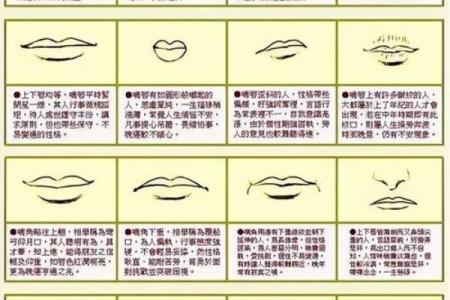 面相揭秘：左右五官透露的惊人运势秘密