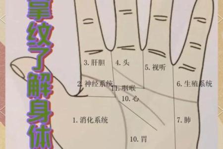 揭秘右手手相：最精准的运势与命运解析，一招看透你的未来