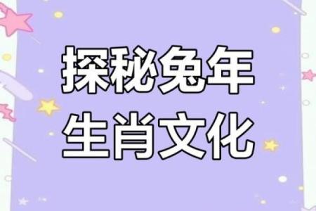 生肖狂欢盛宴：揭秘十二生肖背后的神秘魅力