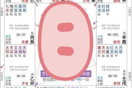 张志春排盘法揭秘：如何精准解析你的命运轨迹
