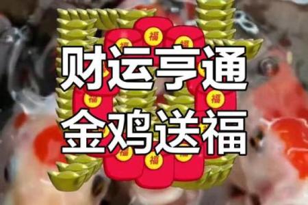 金鸡报晓，福运亨通——你的本命年