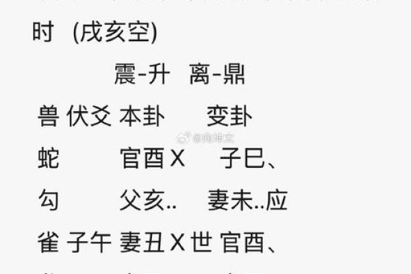 揭秘锌字五行归属