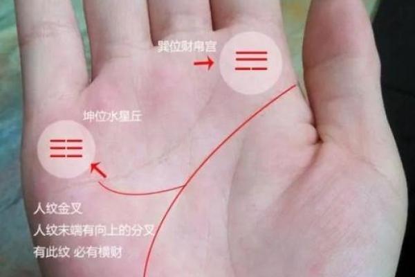 揭秘手相大运：一招看穿命运起伏