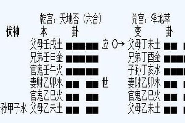 学会六爻排盘，解锁周易预测的神奇力量