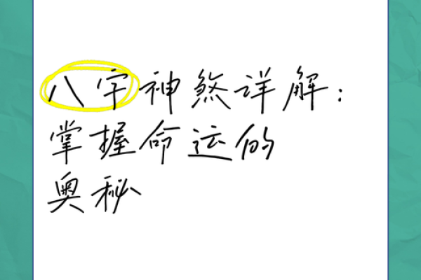 掌握命理术语，开启命运解码之旅