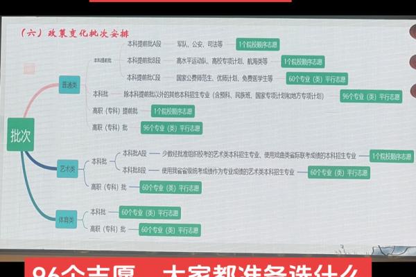 起名有道，最专业的选择
