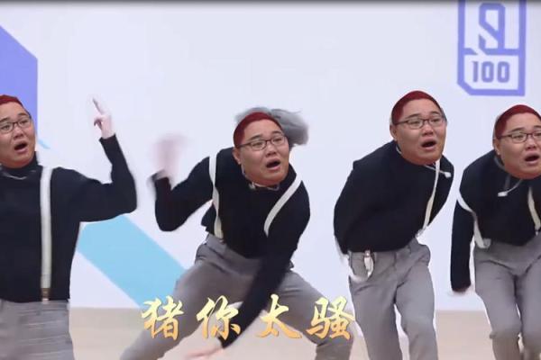 屋上猪命：揭秘屋顶上的神秘生命
