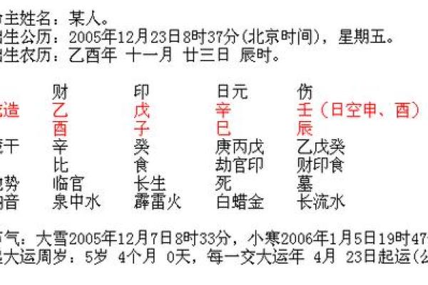 标准生辰八字格式写作方法