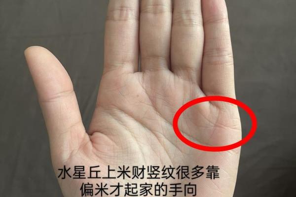 手相川字纹男性财运揭秘：揭秘你的财富运势密码