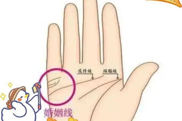 手相揭秘：婚姻线深浅预示着怎样的爱情命运？