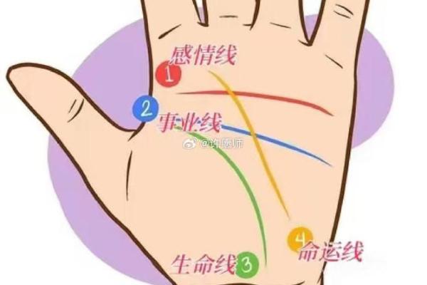 揭秘：频繁看手相，竟隐藏这些惊人秘密