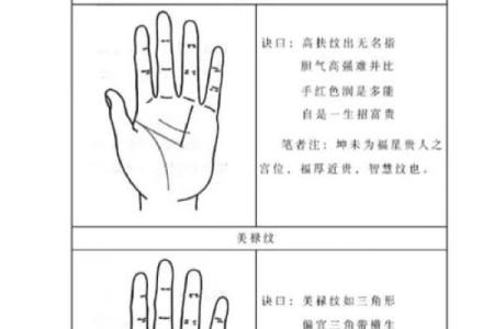揭秘手相奥秘：看手相真的能信吗？