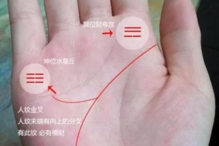 揭秘手相大运：一招看穿命运起伏