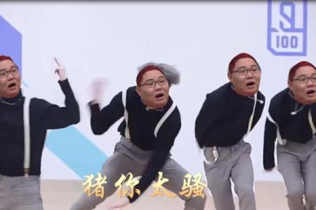 屋上猪命：揭秘屋顶上的神秘生命