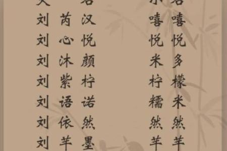 刘姓宝宝起名秘籍：从字义到音韵的完美搭配